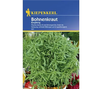 Bohnenkraut einjährig