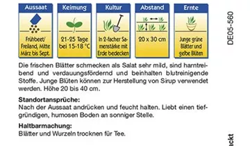 Bildvorschau