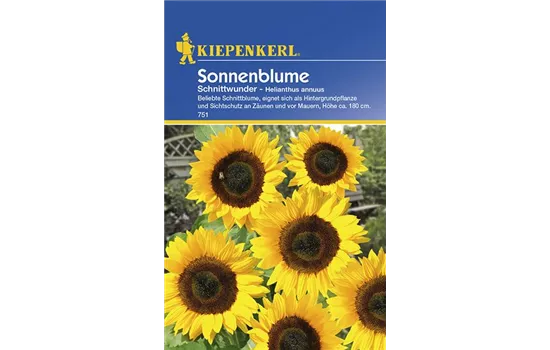 Sonnenblume Schnittwunder