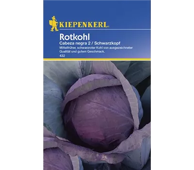 Rotkohl Cabeza negra 2 (Schwarzkopf)