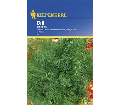 Dill einjährig