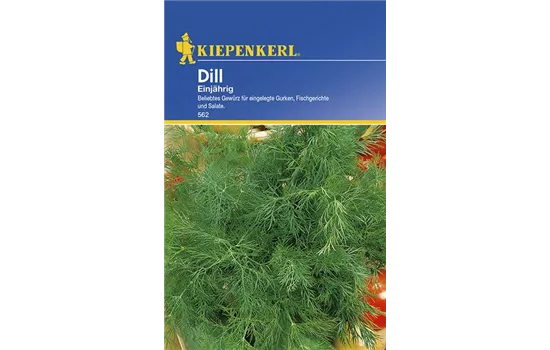 Dill einjährig