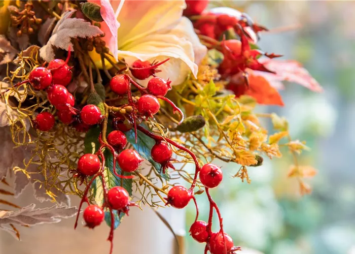 Seidenblumen Herbst & Winter