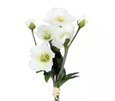 Christrosenarrangement 35cm weiß