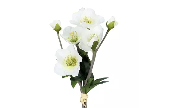 Christrosenarrangement 35cm weiß