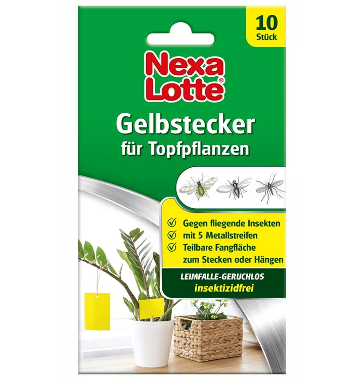 Nexa-Lotte Gelbstecker