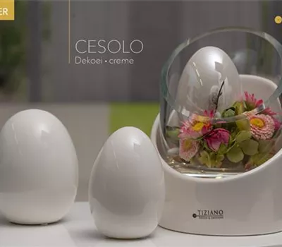 Dekoei Cesolo weiß-creme pearl