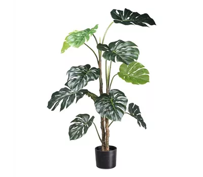 Splitphilodendron 140cm grün