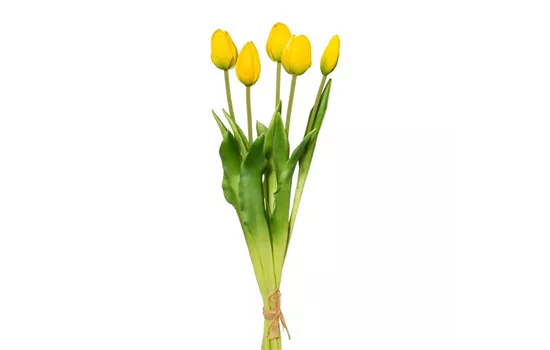 Tulpenbund 45cm gelb