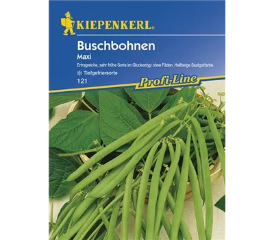 Buschbohnen Maxi