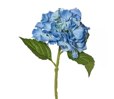 Minihortensie 33cm blau