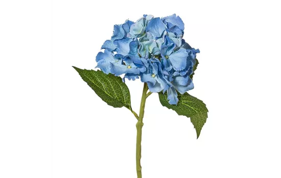 Minihortensie 33cm blau