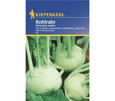 Kohlrabi Delikateß Weiß