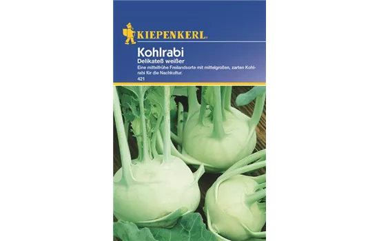 Kohlrabi Delikateß Weiß