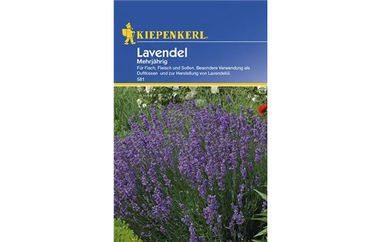 Lavendel mehrjährig