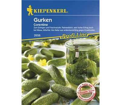 Gurken (Einlegegurken) Corentine, F1