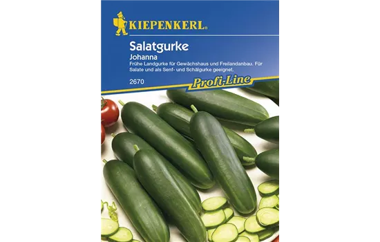 Salatgurke 'Johanna'