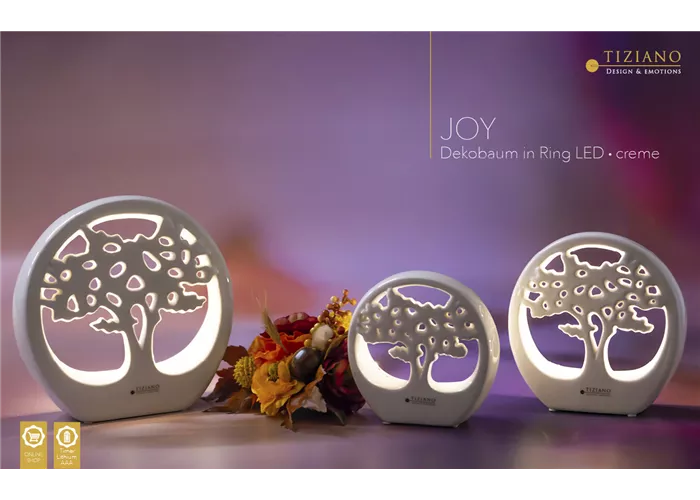 Dekobaum Joy im Ring