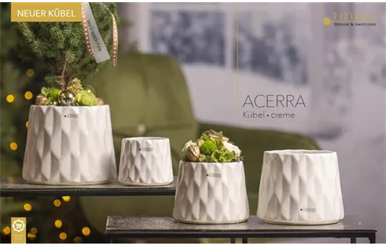 Kübel Acerra creme