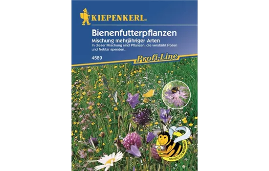 Bienenfutterpflanzen Mehrjährig