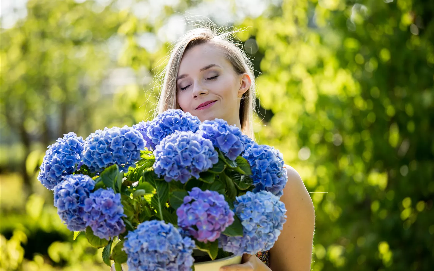 Frau mit blauer Hortensie (GS589395.jpg)