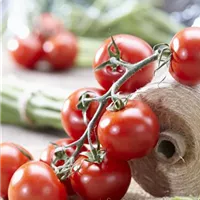 Tomaten mit Garnrolle