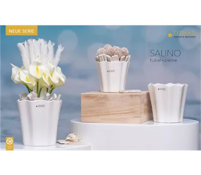 Kübel Salino creme