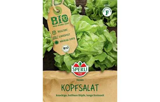 Bio-Kopfsalat