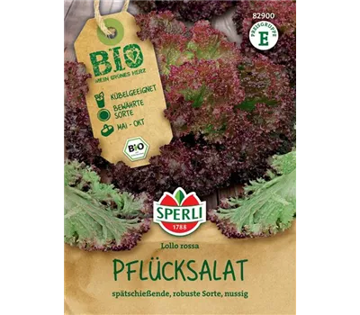 Bio-Pflücksalat rot