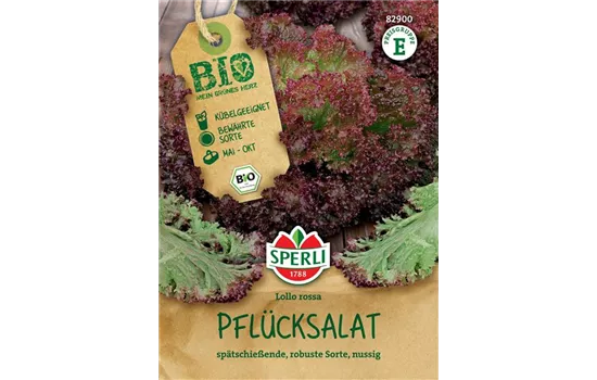 Bio-Pflücksalat rot