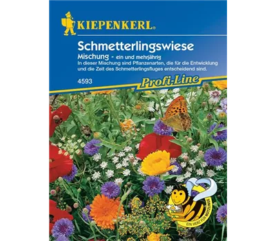 Blumenmischung Schmetterlingswiese